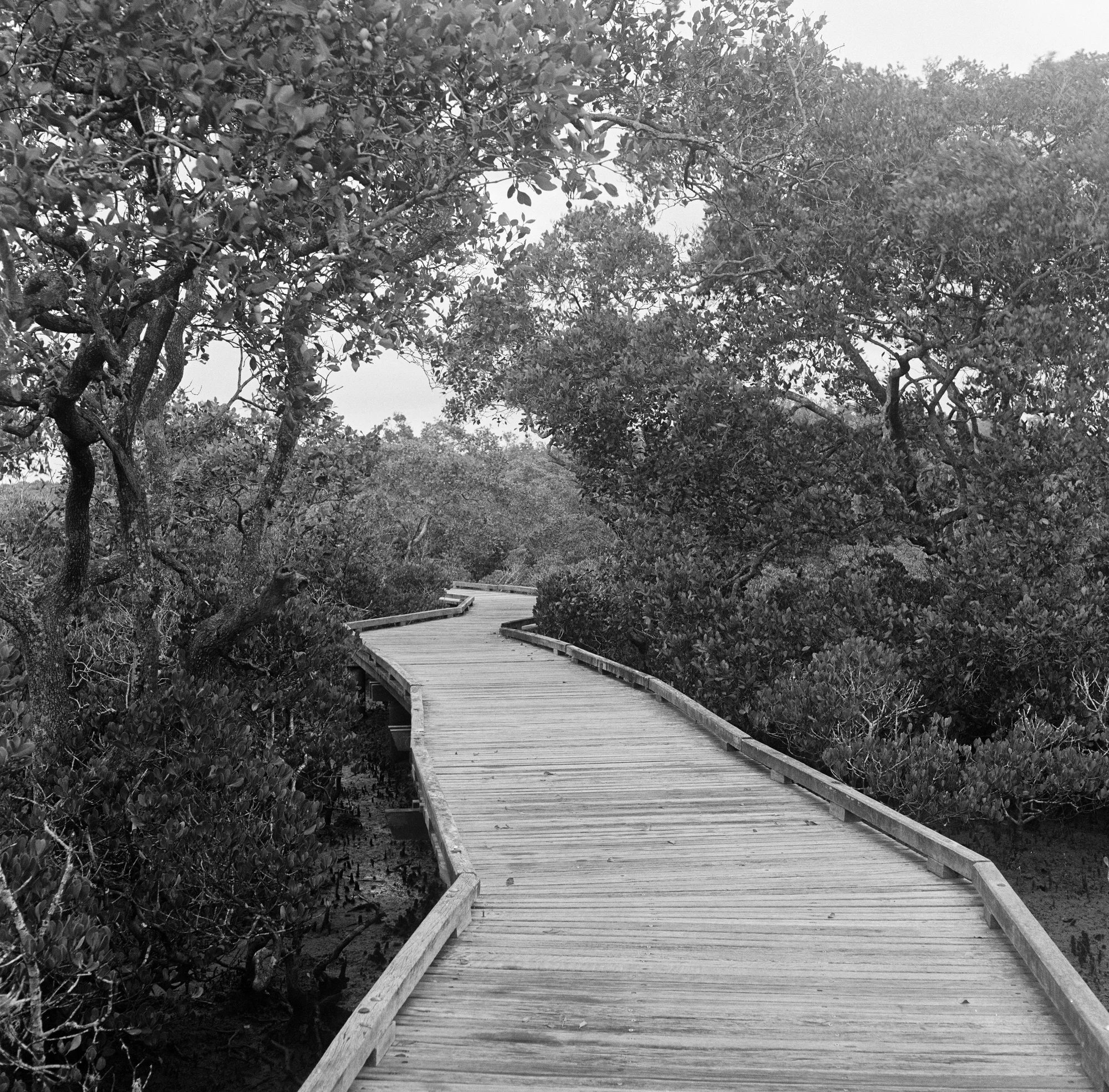 Early morning stillness